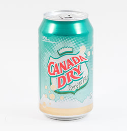 CANADA DRY GINGER ALE 350 ML