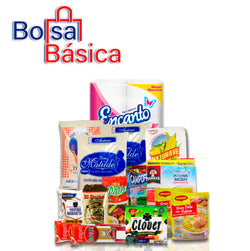 BOLSA BÁSICA